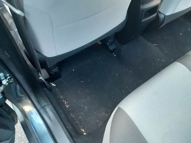 Car Detailing