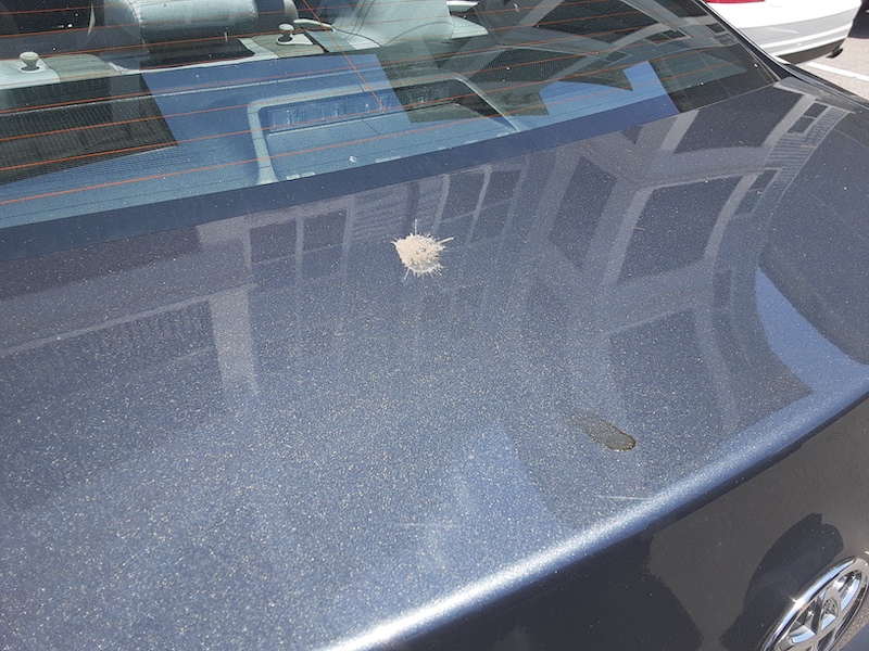 Car Detailing