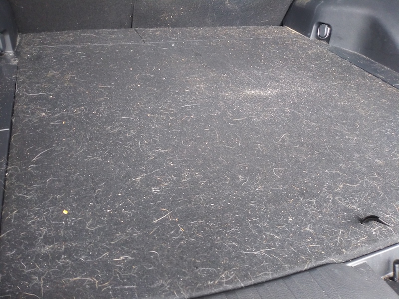 Car Detailing
