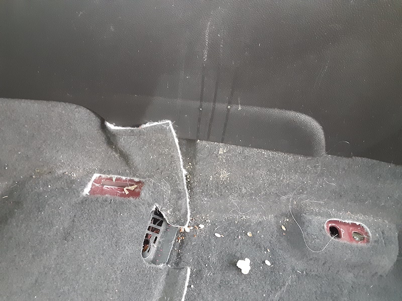 Car Detailing