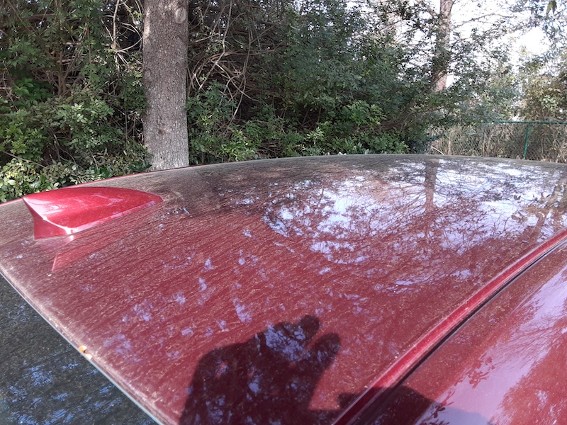 Car Detailing