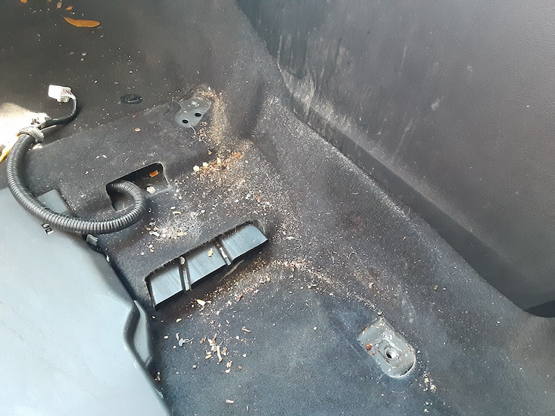 Car Detailing