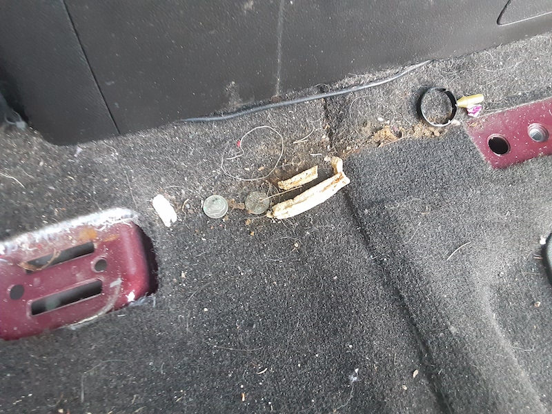 Mobile Detailing