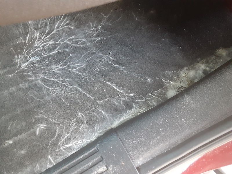 Mobile Detailing