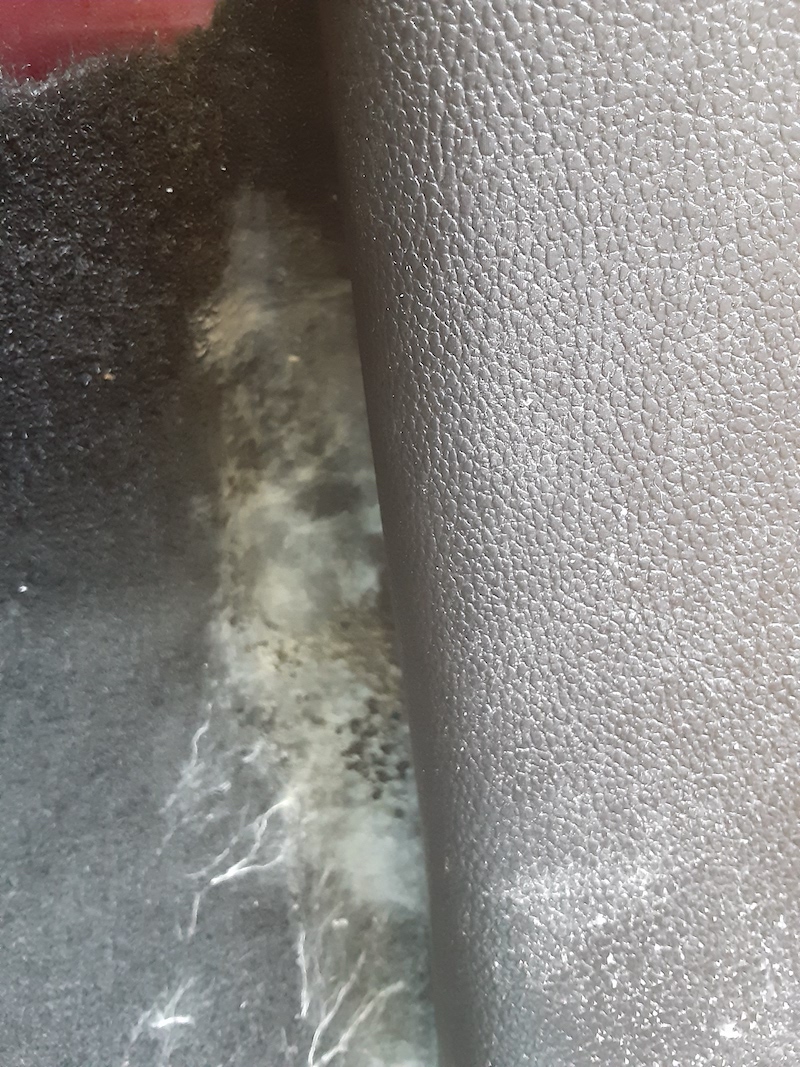Mobile Detailing