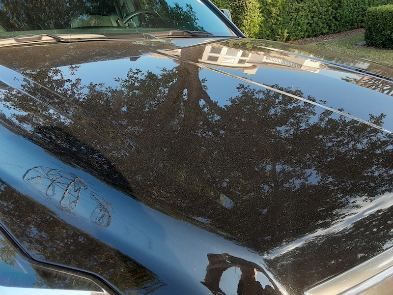 Car Detailing